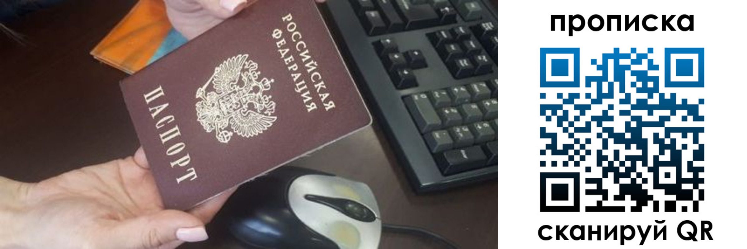 прописка гарантия в Смоленской области